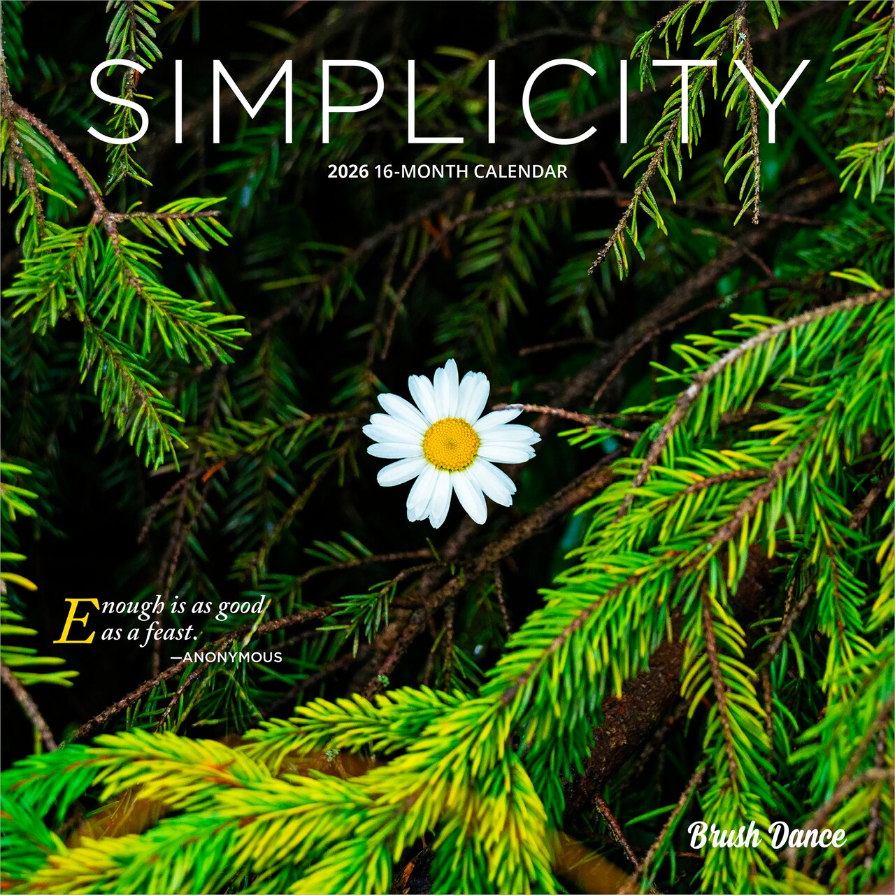 Simplicity | 2026 7 x 14 Inch (Hanging) Monthly Mini Wall Calendar